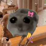 i like the way you kiss me