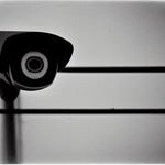 They're watching us, always."