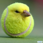 real tennisbirb!!!!