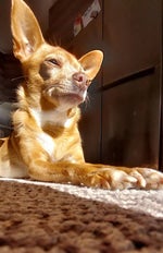 Ti scattero' una foto