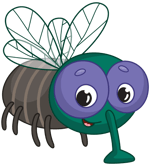 Youngfly on the track (no slur)