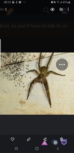 Record online voice recorder