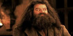 I'm Sorry Harry