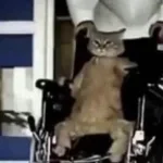 Recording 04/05/26 23:13:38