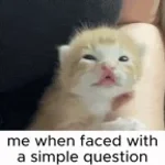 she gon call me baby boo