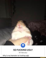 This idiot…just shat all over his own balls - Sound