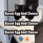 bacon egg and cheese