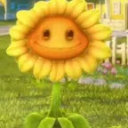 sonnenbume-by-clashhaitv-mp3