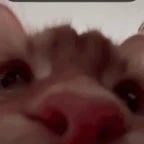 my name is the bay buter