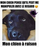 Pas de pierre