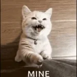 mine