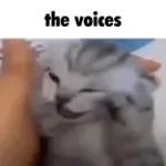 voices in  my head go