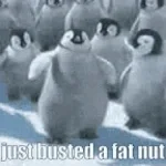 NOW ITS TIME TO BUST A NUT