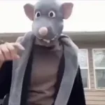 YOUVE FALLEN FOR THE RAT TRAP