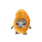 EJARSH TIGKA - Sound