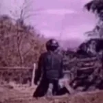 soldier falling down to his knees