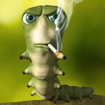 i i i be poppin bottles