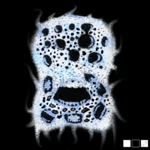 Dread (Sound Effect) DOORS