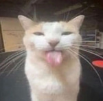 im 16 [E-GIRL]