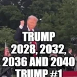 not so sigma trump - Sound