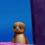 brain chrissy chlapecka