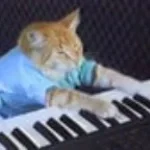 piano cat earrape