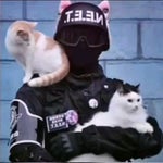 Mandanga Style-Speed up