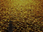 One Piece Memories