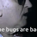 the bugs are back