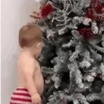 All I Want For Christmas Is You