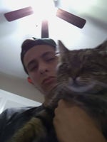 Stop showing me pictures of black dudes kissing stop it’s turni