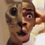 He gotta be pregnant