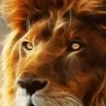 the lion sleeps tonight loud