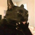 steve lacy dark red lyrics