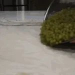 Smoking the matees pack