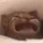 waaaa - Sound