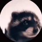 pedro pedro perfect loop