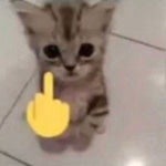 Swalla (Low Quality) pt5