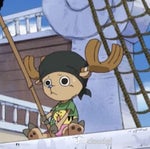 screaming bird meme - Sound