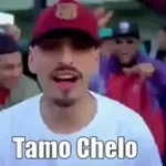 TAMO CHELO SATURADO