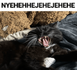 devious jasper