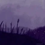 Summer night