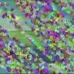 Salinewin.exe 9 pitch -12 and the speed is 0.9x