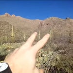 Conner screaming at cacti