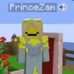 princezam