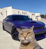 נחש אותי נחש - Sound