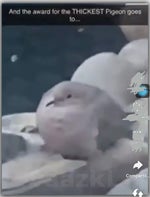 Iam Coming After You