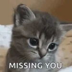 Lovely sad (tiktok original)