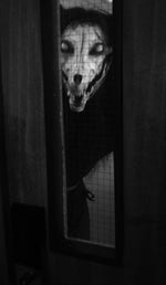 Revenge - By The GNG