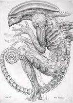 Calma, paciencia funk